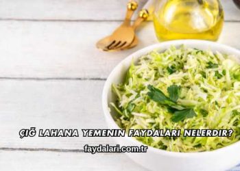Çiğ Lahana Yemenin Faydaları Nelerdir?