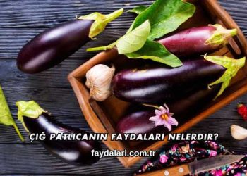 Çiğ Patlıcanın Faydaları Nelerdir?