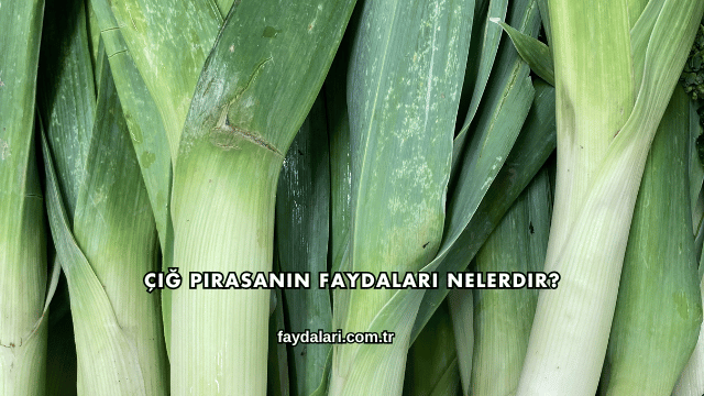 Çiğ Pırasanın Faydaları Nelerdir?