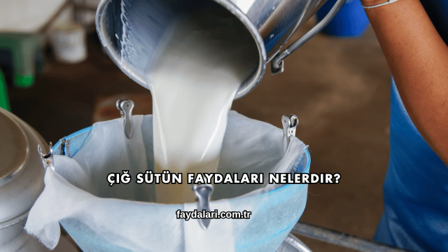 Çiğ Sütün Faydaları Nelerdir?