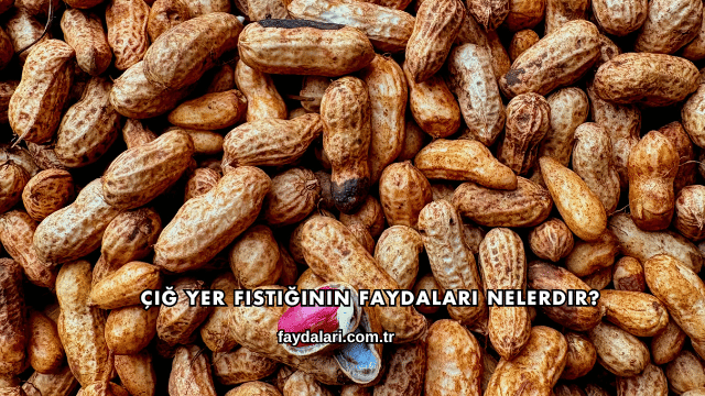 Çiğ Yer Fıstığının Faydaları Nelerdir?