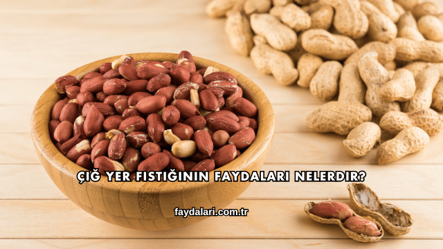 Çiğ Yer Fıstığının Faydaları Nelerdir?