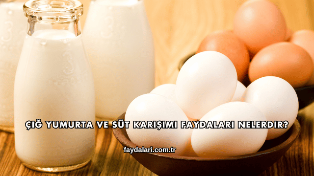Çiğ Yumurta ve Süt Karışımı Faydaları Nelerdir?