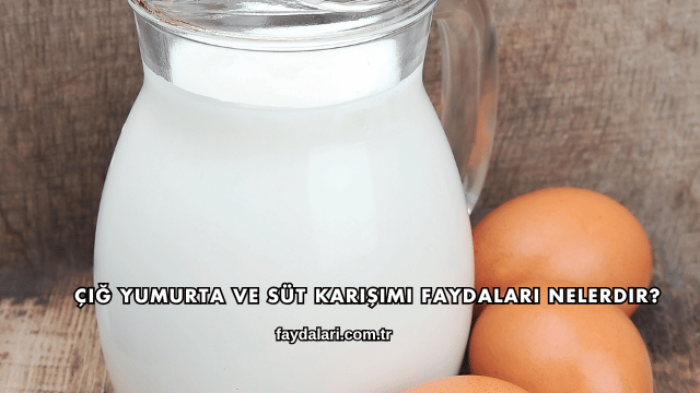 Çiğ Yumurta ve Süt Karışımı Faydaları Nelerdir?