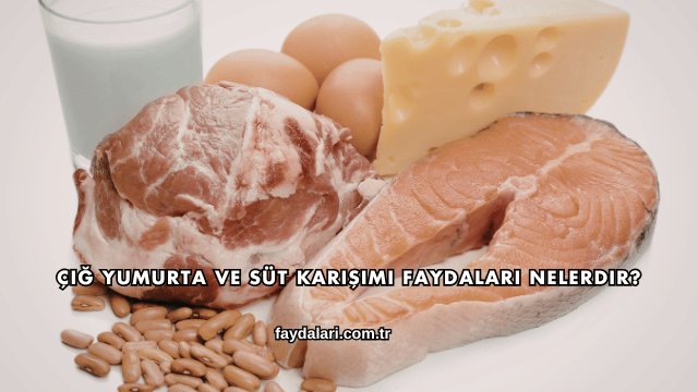 Çiğ Yumurta ve Süt Karışımı Faydaları Nelerdir?