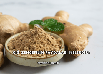 Çiğ Zencefilin Faydaları Nelerdir?