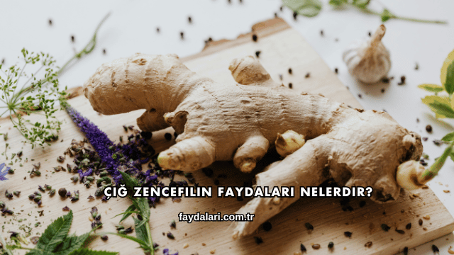 Çiğ Zencefilin Faydaları Nelerdir?