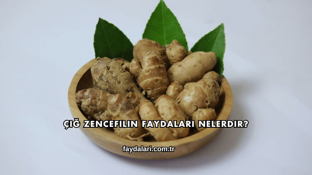 Çiğ Zencefilin Faydaları Nelerdir?