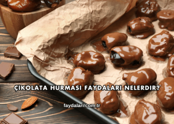 Çikolata Hurması Faydaları Nelerdir?