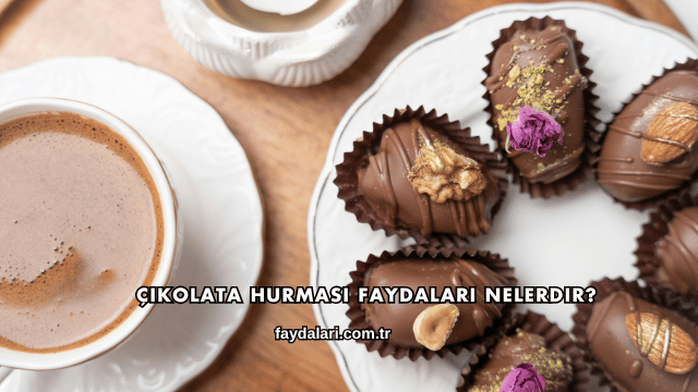 Çikolata Hurması Faydaları Nelerdir?