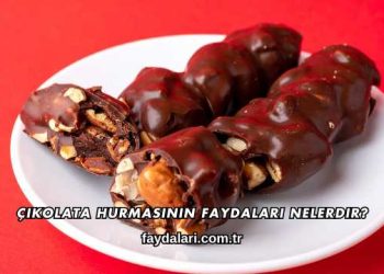 Çikolata Hurmasının Faydaları Nelerdir?