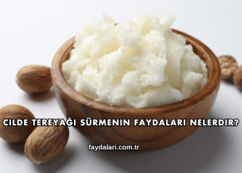 Cilde Tereyağı Sürmenin Faydaları Nelerdir?