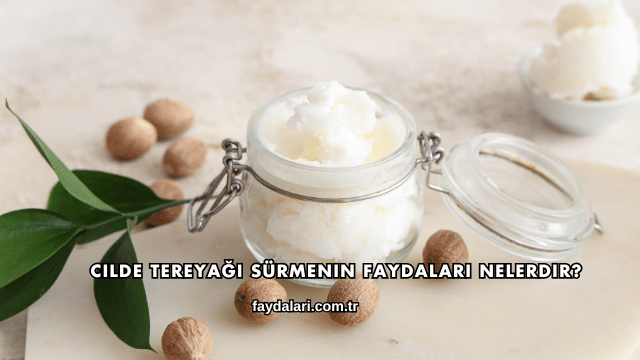 Cilde Tereyağı Sürmenin Faydaları Nelerdir?
