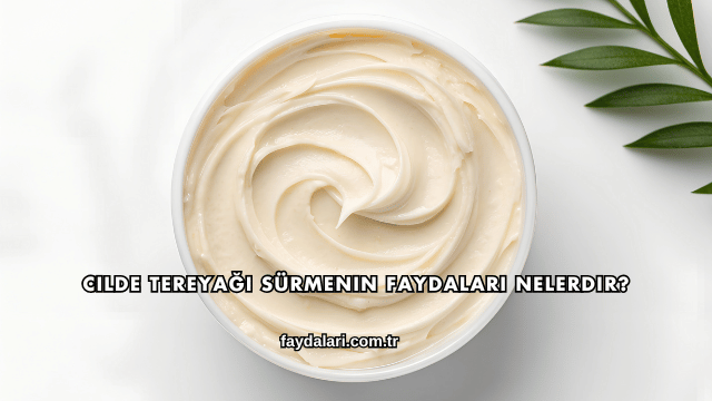 Cilde Tereyağı Sürmenin Faydaları Nelerdir?