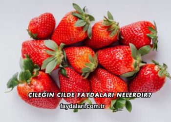 Çileğin Cilde Faydaları Nelerdir?