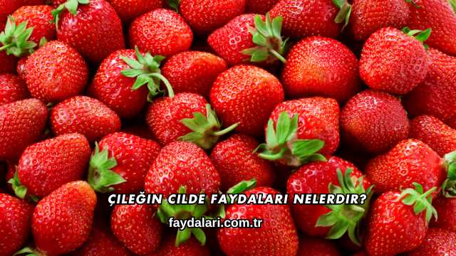 Çileğin Cilde Faydaları Nelerdir?