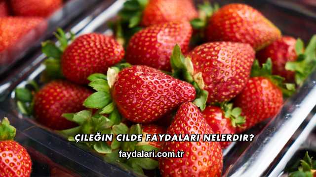 Çileğin Cilde Faydaları Nelerdir?