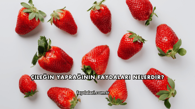 Çileğin Yaprağının Faydaları Nelerdir?