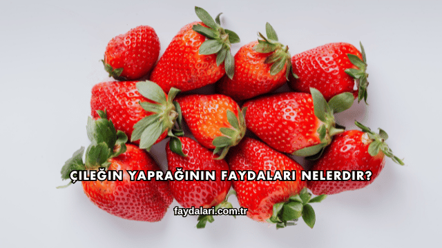 Çileğin Yaprağının Faydaları Nelerdir?