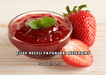 Çilek Reçeli Faydaları Nelerdir?