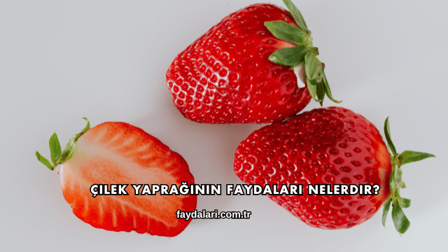 Çilek Yaprağının Faydaları Nelerdir?