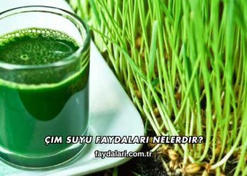 Çim Suyu Faydaları Nelerdir?