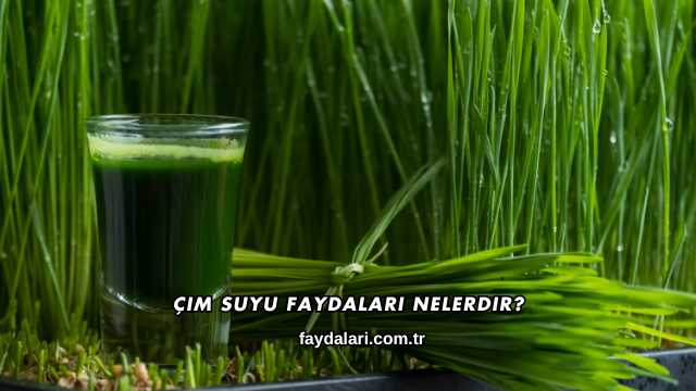 Çim Suyu Faydaları Nelerdir?