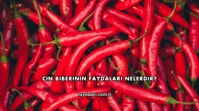 Cin Biberinin Faydaları Nelerdir?