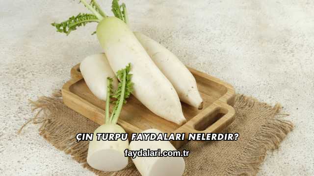 Çin Turpu Faydaları Nelerdir?