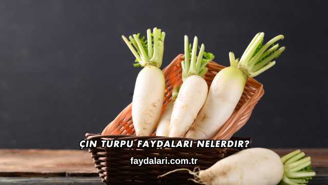 Çin Turpu Faydaları Nelerdir?