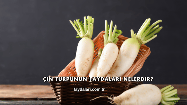 Çin Turpunun Faydaları Nelerdir?