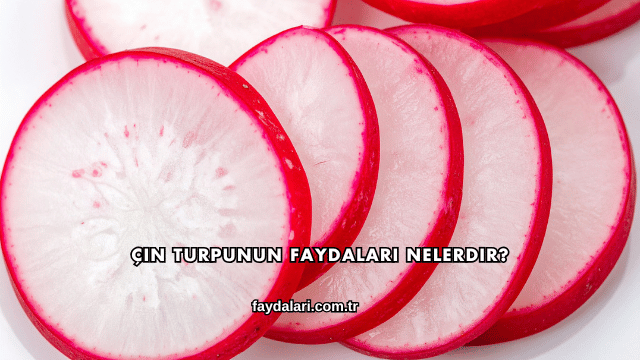 Çin Turpunun Faydaları Nelerdir?