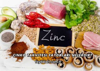 Çinko Takviyesi Faydaları Nelerdir?
