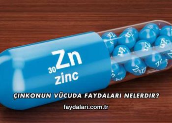 Çinkonun Vücuda Faydaları Nelerdir?