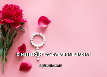 Cinselliğin Faydaları Nelerdir?