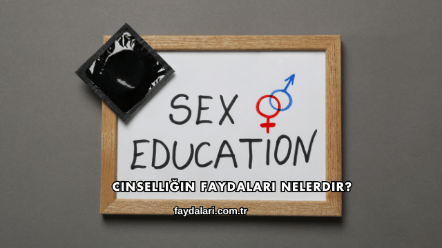 Cinselliğin Faydaları Nelerdir?