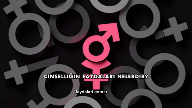 Cinselliğin Faydaları Nelerdir?