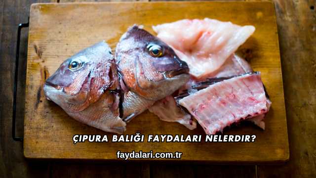 Çipura Balığı Faydaları Nelerdir?
