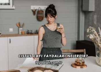 Cistus Çayı Faydaları Nelerdir?