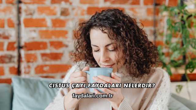Cistus Çayı Faydaları Nelerdir?