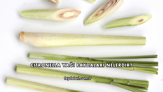 Citronella Yağı Faydaları Nelerdir?