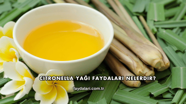 Citronella Yağı Faydaları Nelerdir?