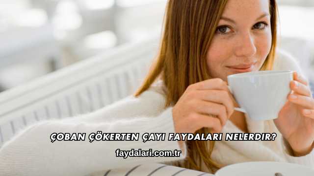 Çoban Çökerten Çayı Faydaları Nelerdir?