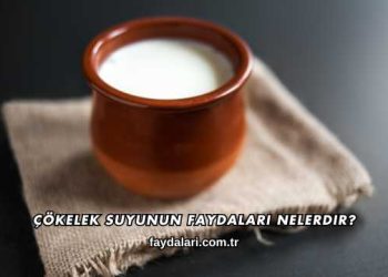 Çökelek Suyunun Faydaları Nelerdir