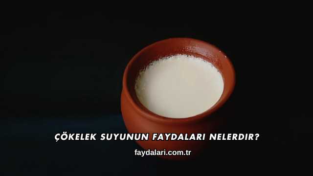 Çökelek Suyunun Faydaları Nelerdir