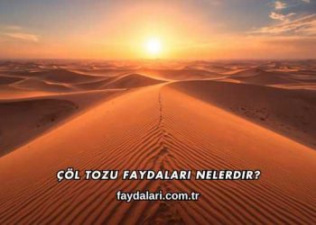 Çöl Tozu Faydaları Nelerdir?