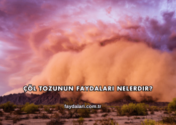 Çöl Tozunun Faydaları Nelerdir?