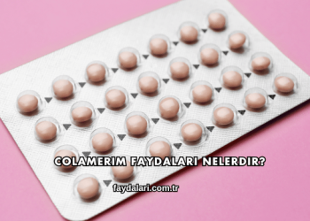 Colamerim Faydaları Nelerdir?