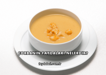 Çorbanın Faydaları Nelerdir?