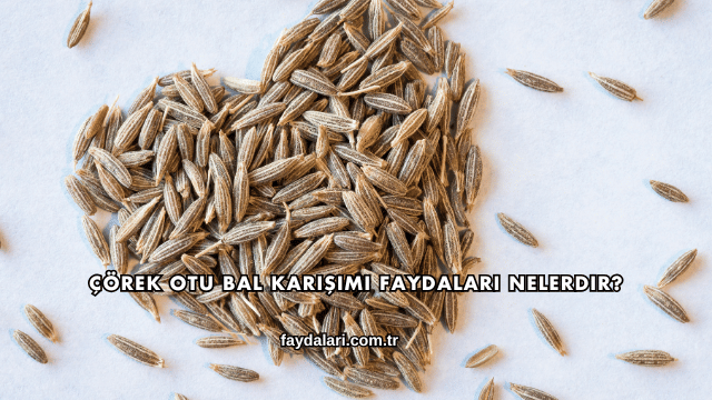 Çörek Otu Bal Karışımı Faydaları Nelerdir?